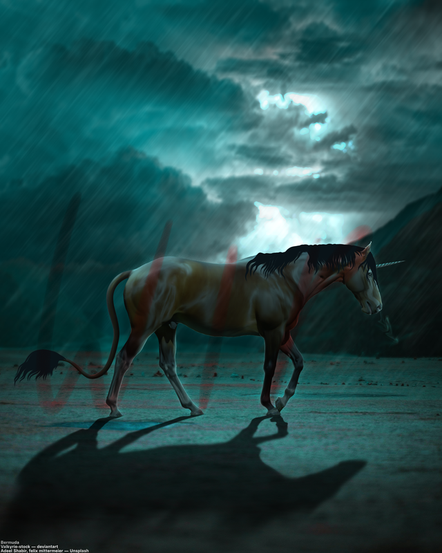 Untitled465 20260128094549