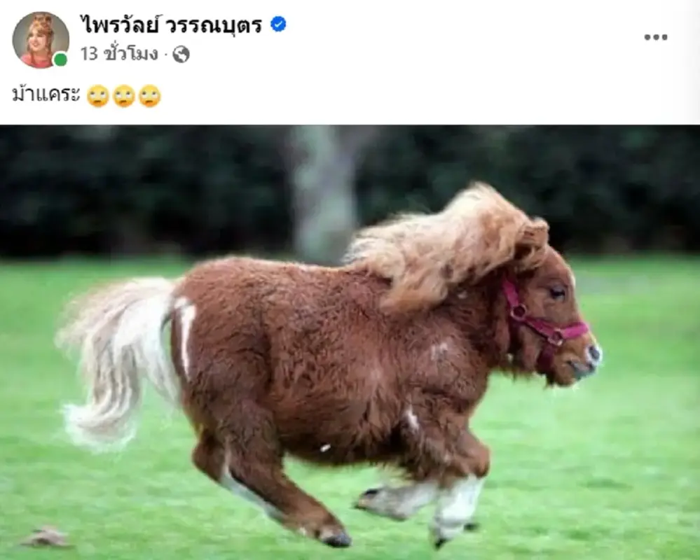 a4uuhupH0jCHBOHcJJlh