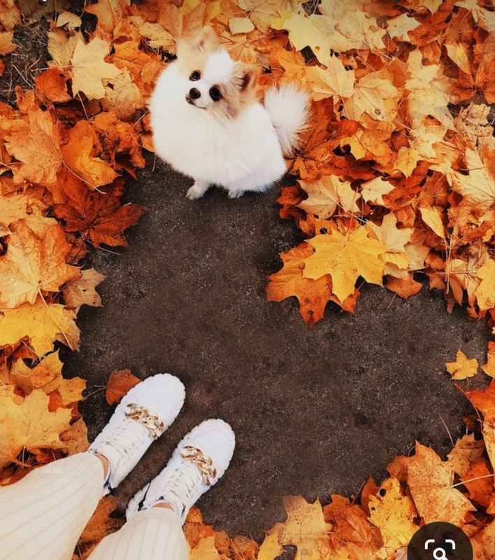 Screenshot_20231112_155302_Pinterest