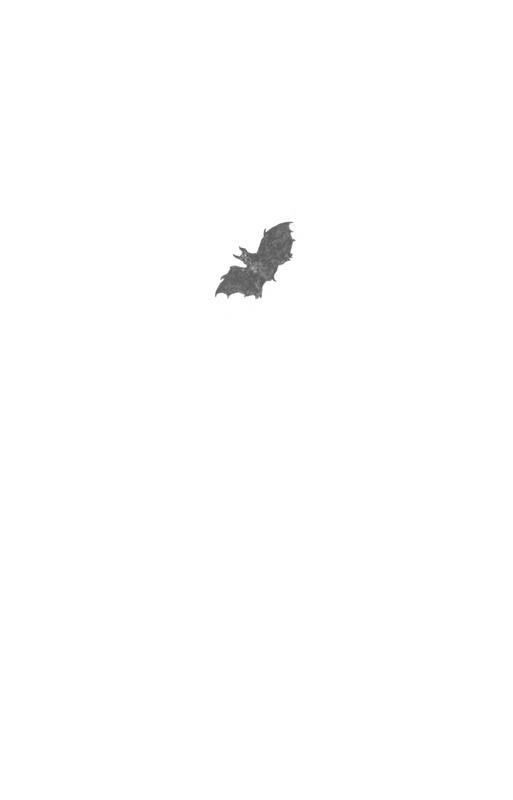 p0003