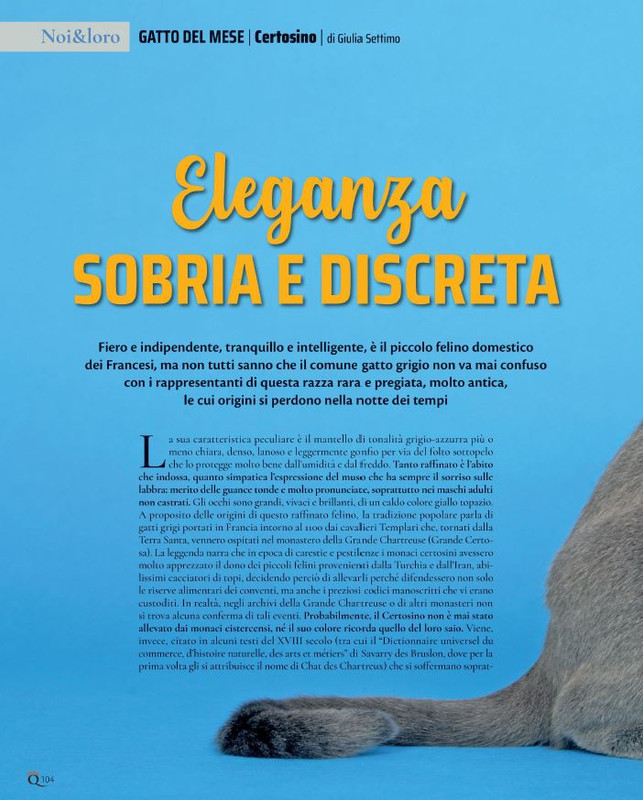 QuattroZampe Lug 2021 (11)