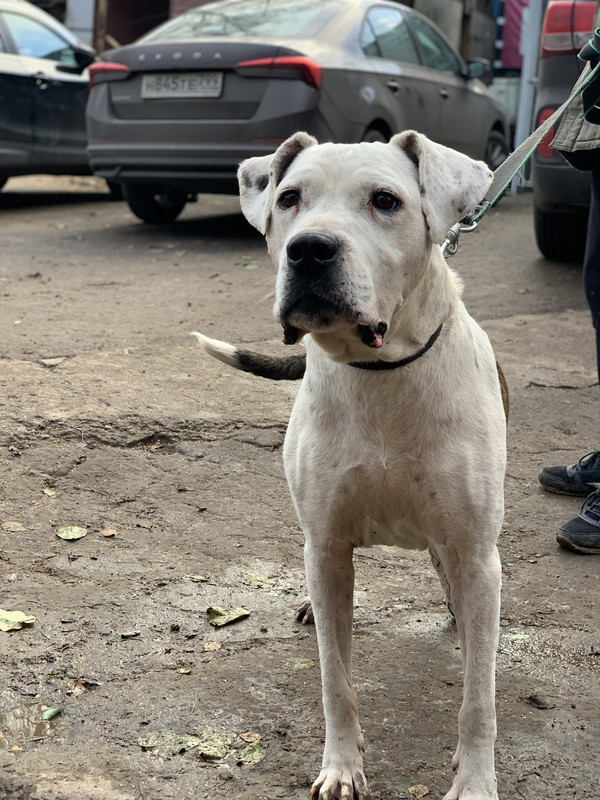 63CDD85B-1D0C-4E1B-A15D-98C1F08F5136