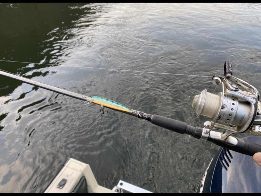 2021 Falcon Cara..Fit and Finish Review - Fishing Rods, Reels, Line, and  Knots - Bass Fishing Forums