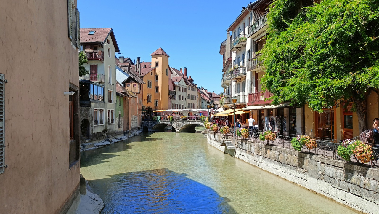 IMG20250711122911 (Large)