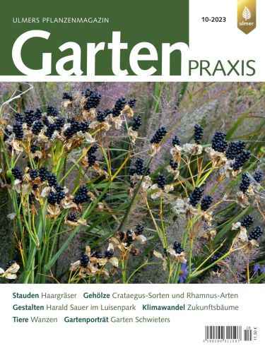 Gartenpraxis Magazin No 10  Oktober 2023
