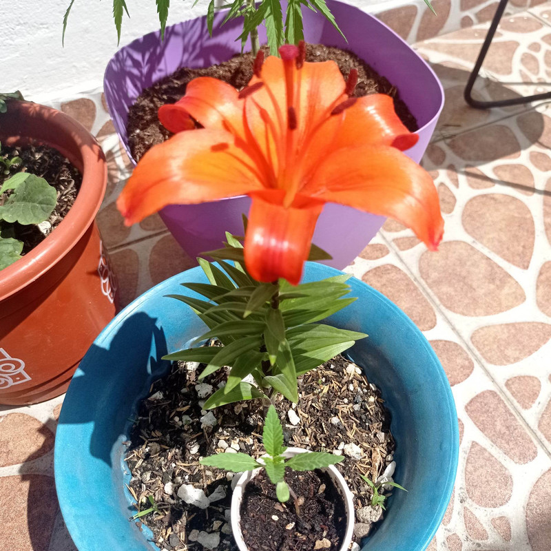 320757607_509982887781090_5647575579084868994_n