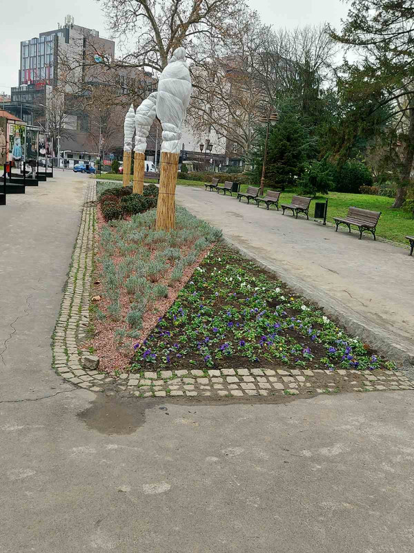 kalemegdan10-2020-12-20-21-26-38.jpg