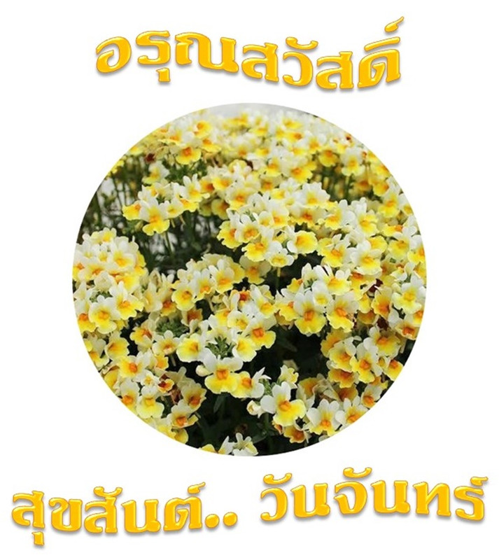 อรุณสวัสดิ์ วันจันทร์ 2