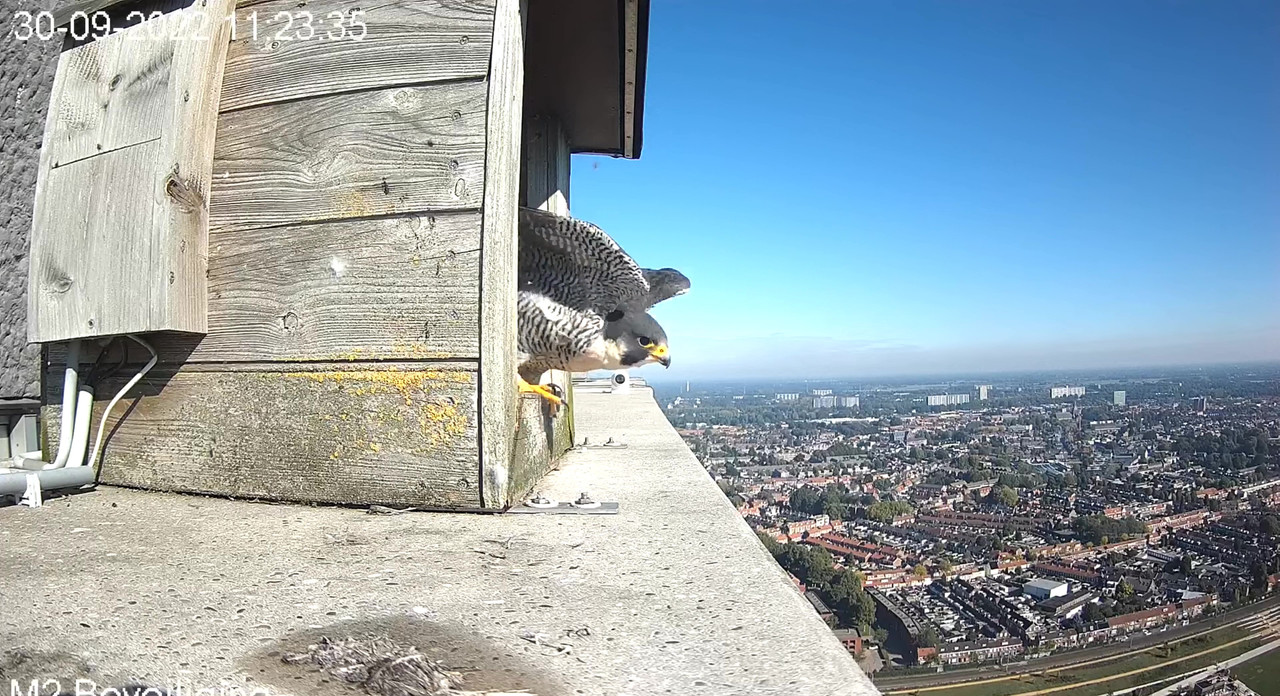 Tilburg/Westpointtoren - Pagina 20 Video-2022-09-30-114529-Moment