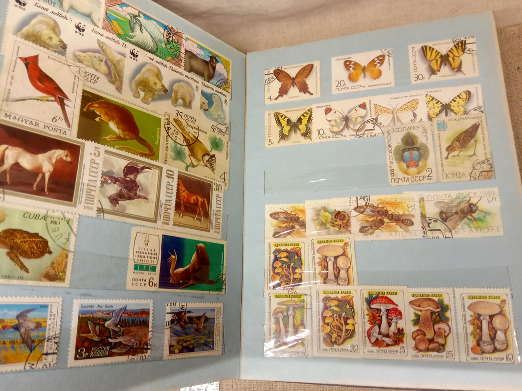 IMG20230511134505 — Postimages