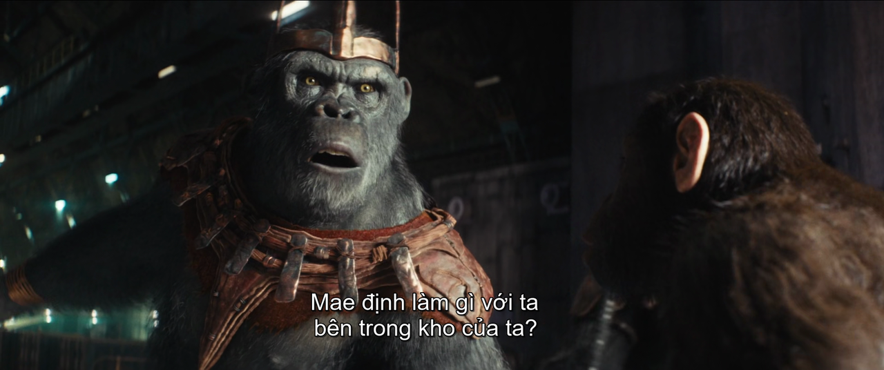 vlcsnap 2025 12 19 19h27m34s758