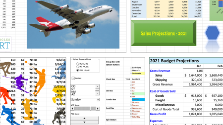 Excel: Advanced Formatting Techniques (Office 365/Excel 2019)