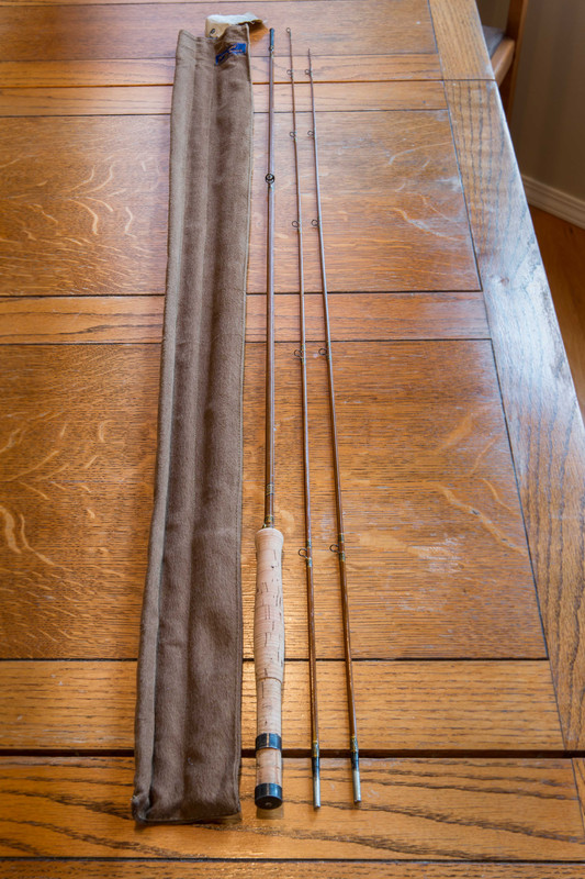 Divine Fly-Wate  (4 of 18)