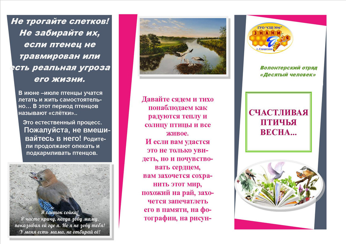 Публикация1