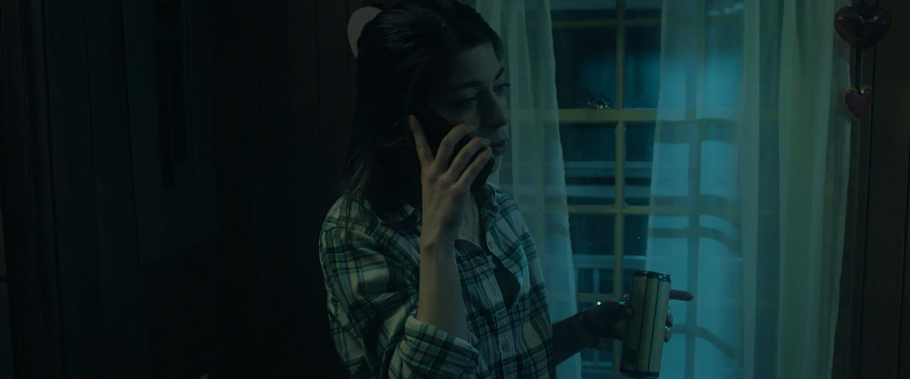Bury the Devil 2026 WebRip [Hindi + Tamil + Telugu + English] 480p 720p ESub Screenshot