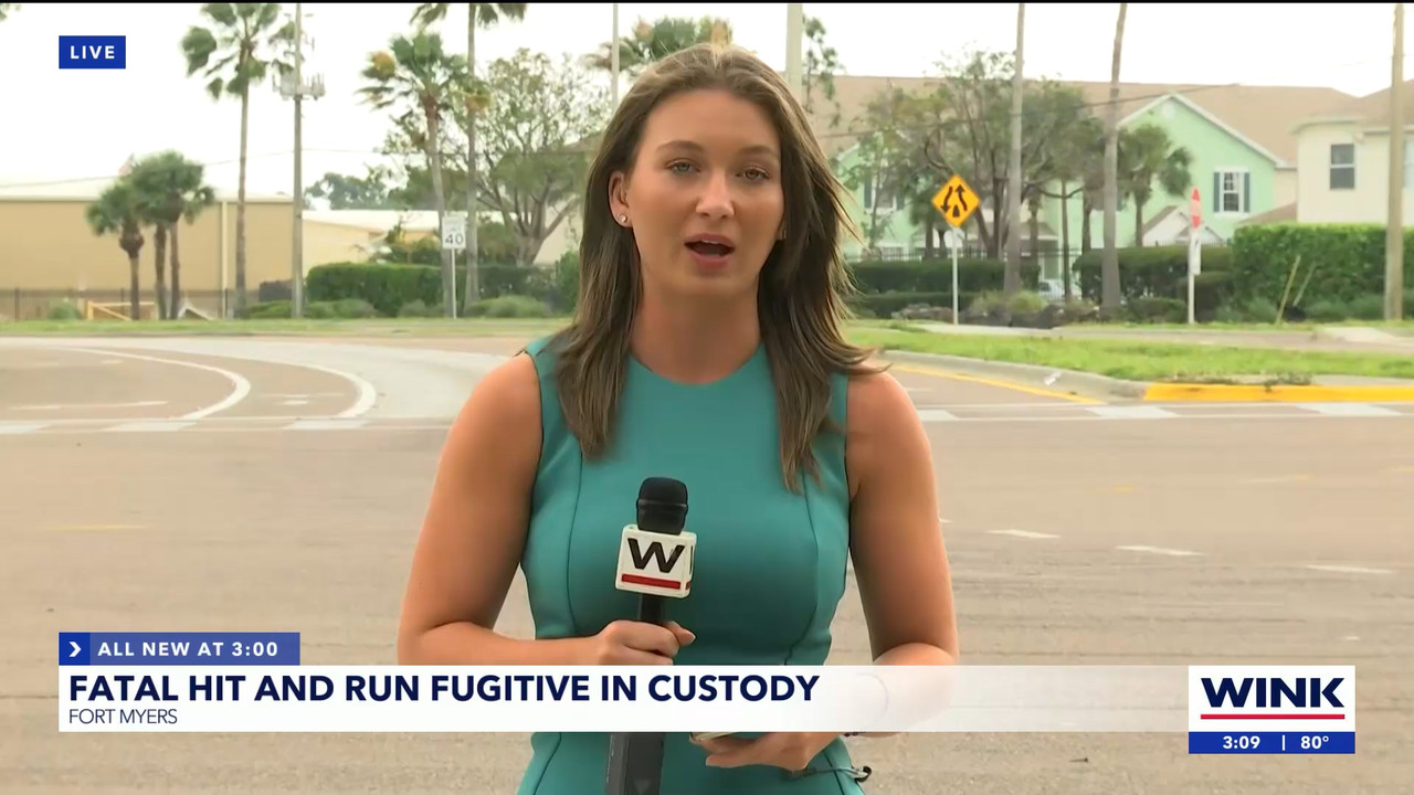 04.11 - 20.00.01 - WINK News at 3pm  ᴺᵉʷ..ts_snapshot_00.15.23.369
