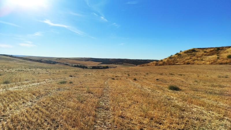 Barrancas de Burujón-2015/2025 - Toledo y sus pueblos-1996/2026 (62)