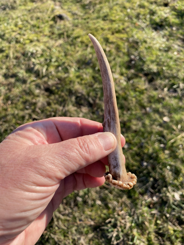 3E266630-D1ED-42B6-A0F5-3F5035E6C8D2