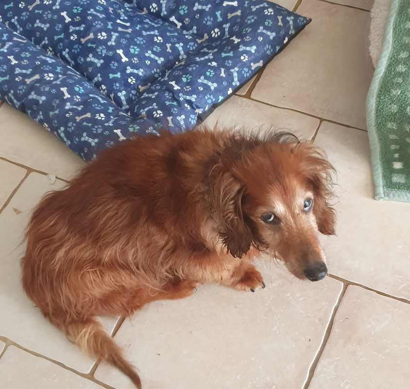 [Image: 20230805-131954.jpg]