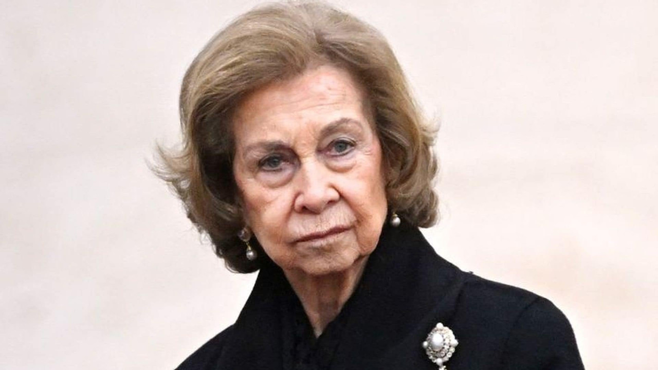 fe2dbbfd861d db5f66e709b4 sofia