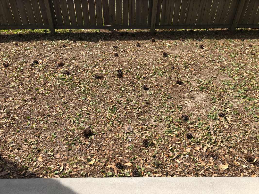 5A3AADEE-50B9-4B2F-BB38-722B2EE84810