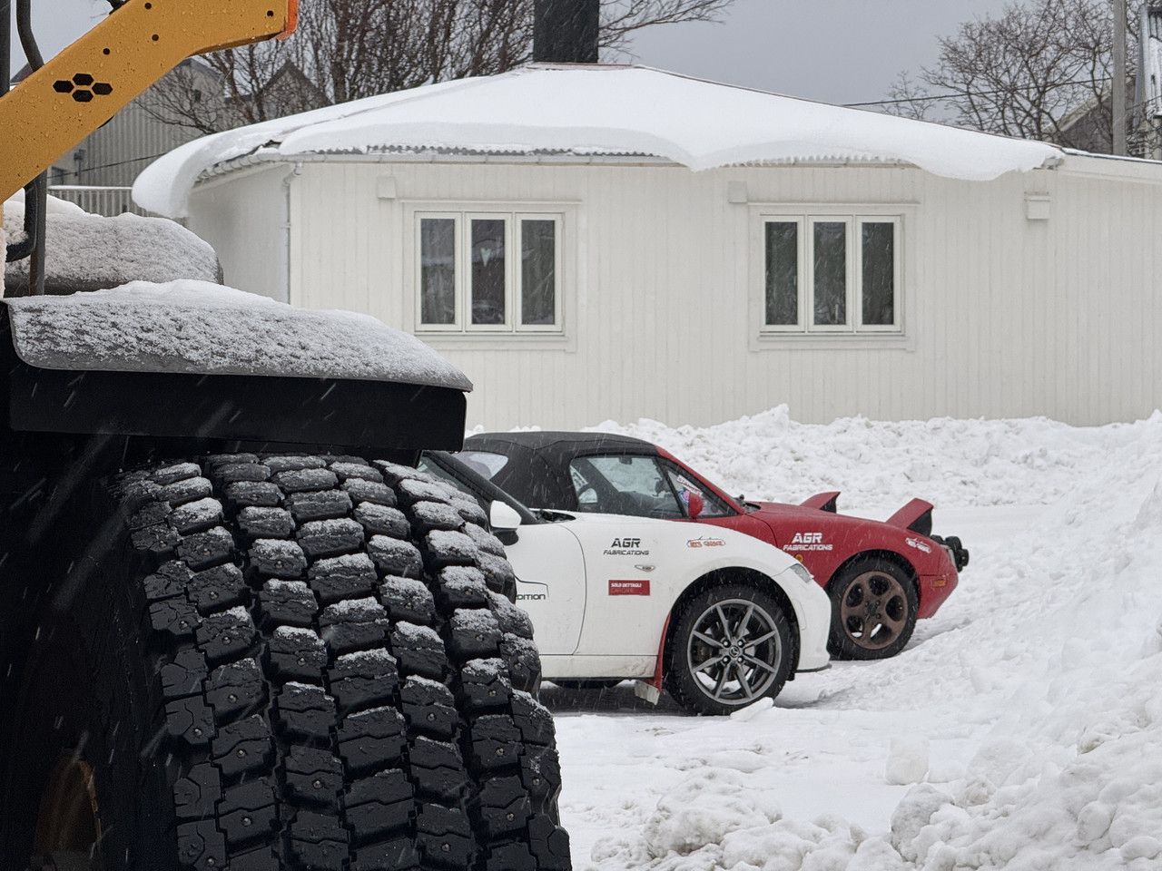 [Immagine: IMG-8569.jpg]