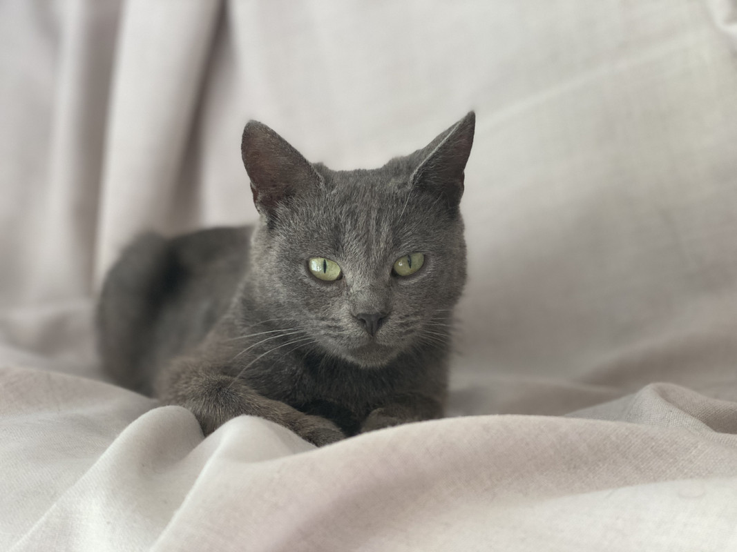 5FFD8017-0F50-403D-87BB-D2EEE59AAF08