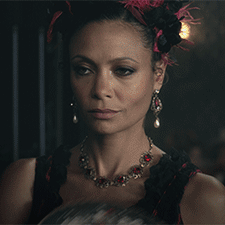 1478272094_westworld_fanning.gif