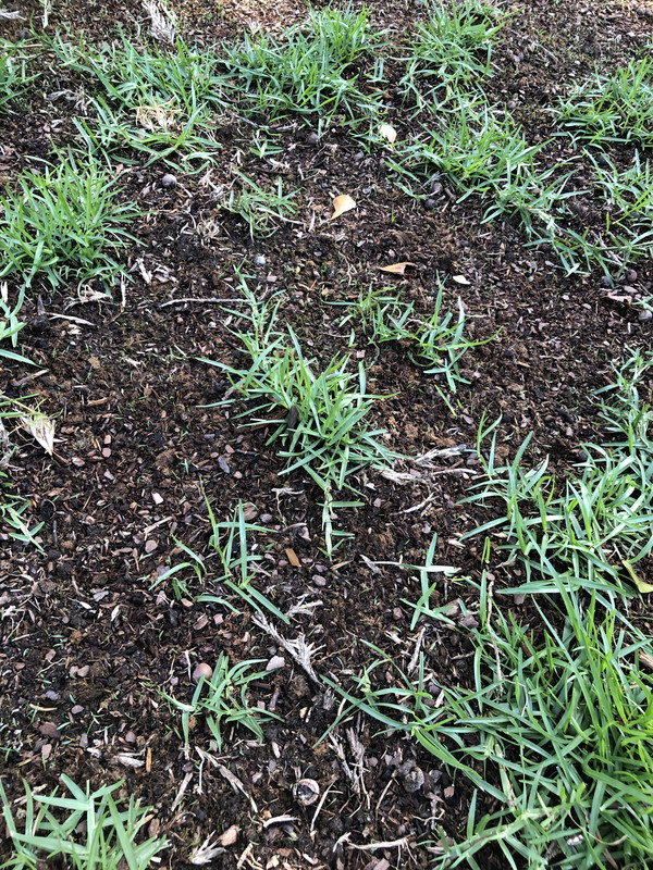 5AB19476-CC5D-433E-825F-4BFE496FB075