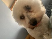 71D9D2C1-B264-4D27-9A18-EDA89CE9049B