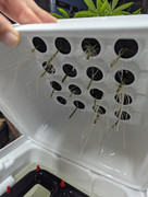 2. PXL_20240731_030923232