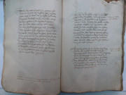 P1130245
