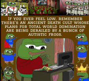 Frogs-B