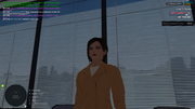 UKRAINE-GTA-11-11-2025-20-13-34