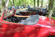 IMG-5028.jpg