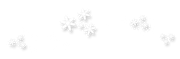 Winter-White-Elements-22