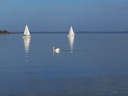 IMG-20221101-080115-247