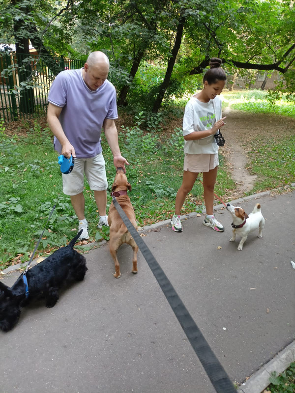 4E611E35-5318-4DC0-8247-1ACCF386C685