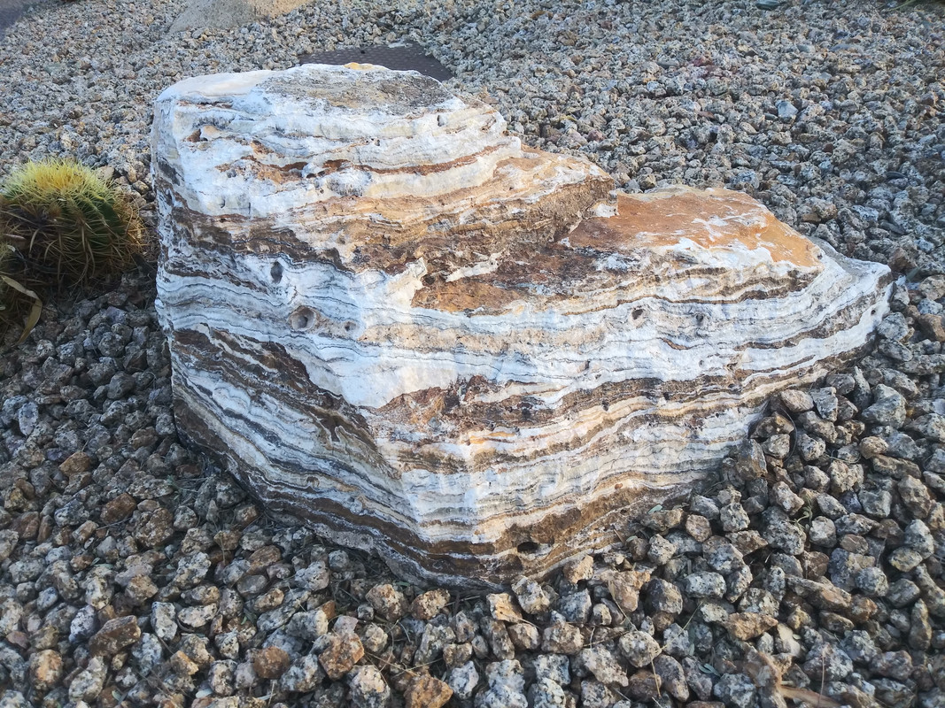 20191115_074935
