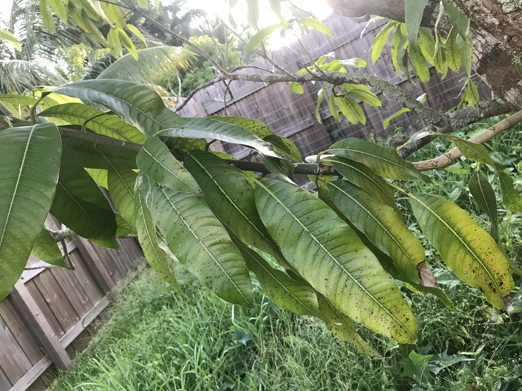 C62D9A96-5272-4DAB-B2B9-D5C88C1B8EF0