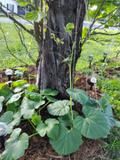 img-1780788171228