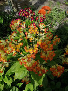 IMG-abe75471aa6f5e5e9682d8845d88673c-V