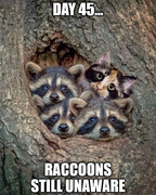 3ffc0d7ebc6f4c820331c55d0caaf06a63016c541236d7a56f3489c95f150e23