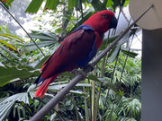 IMG-6752