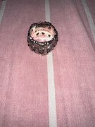 IMG-6909