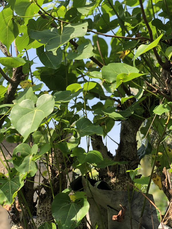 9-D2-FB14-B-A047-4295-896-A-E9-AAB901014