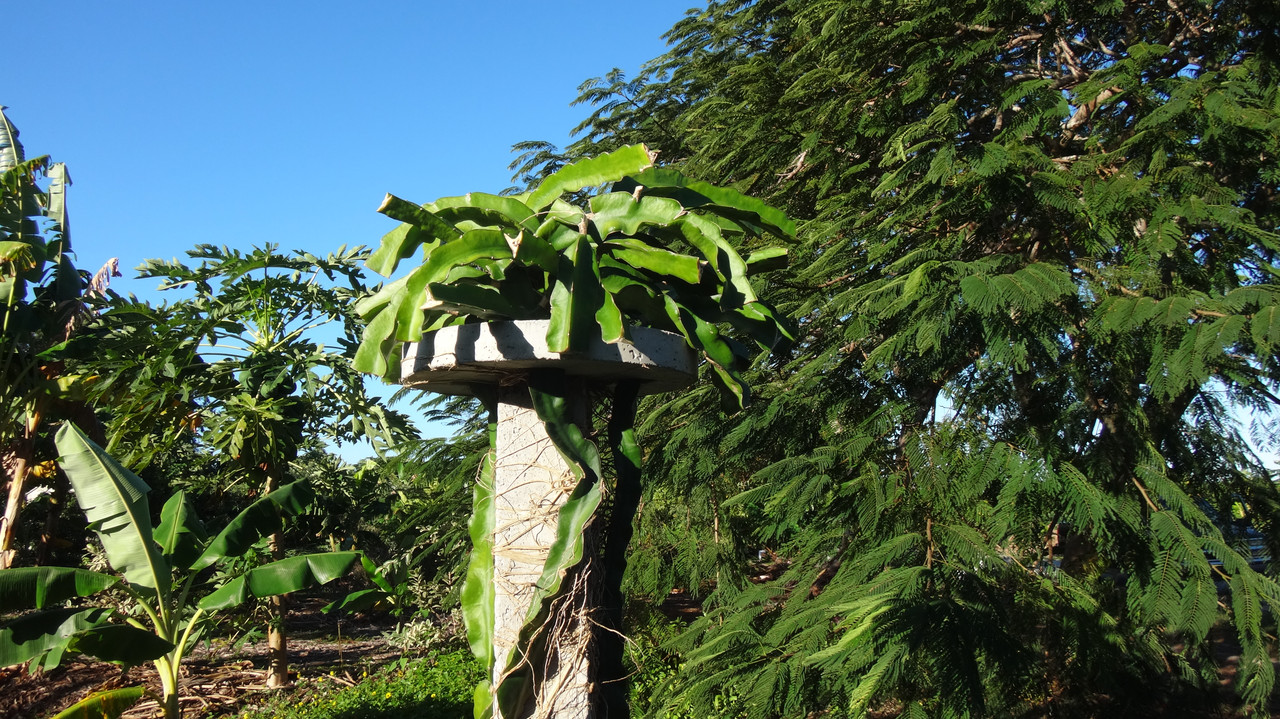 DSC01509