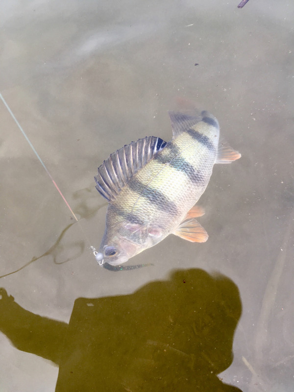 22E07802-FA13-402D-8319-8FCC0808B535