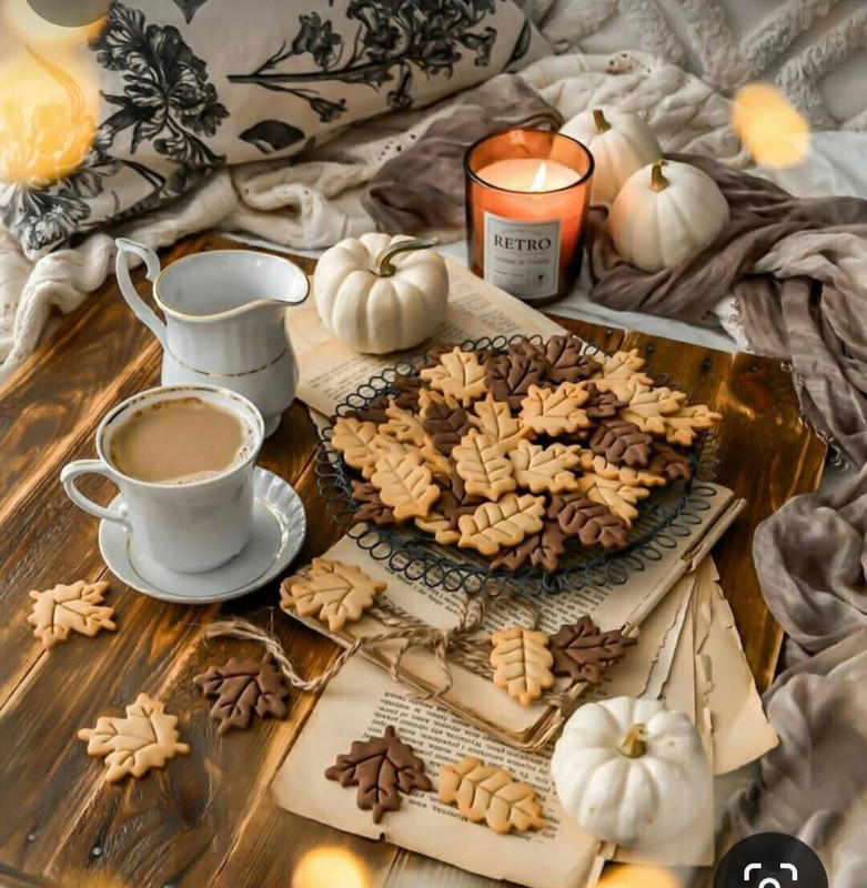 Screenshot_20231122_215230_Pinterest