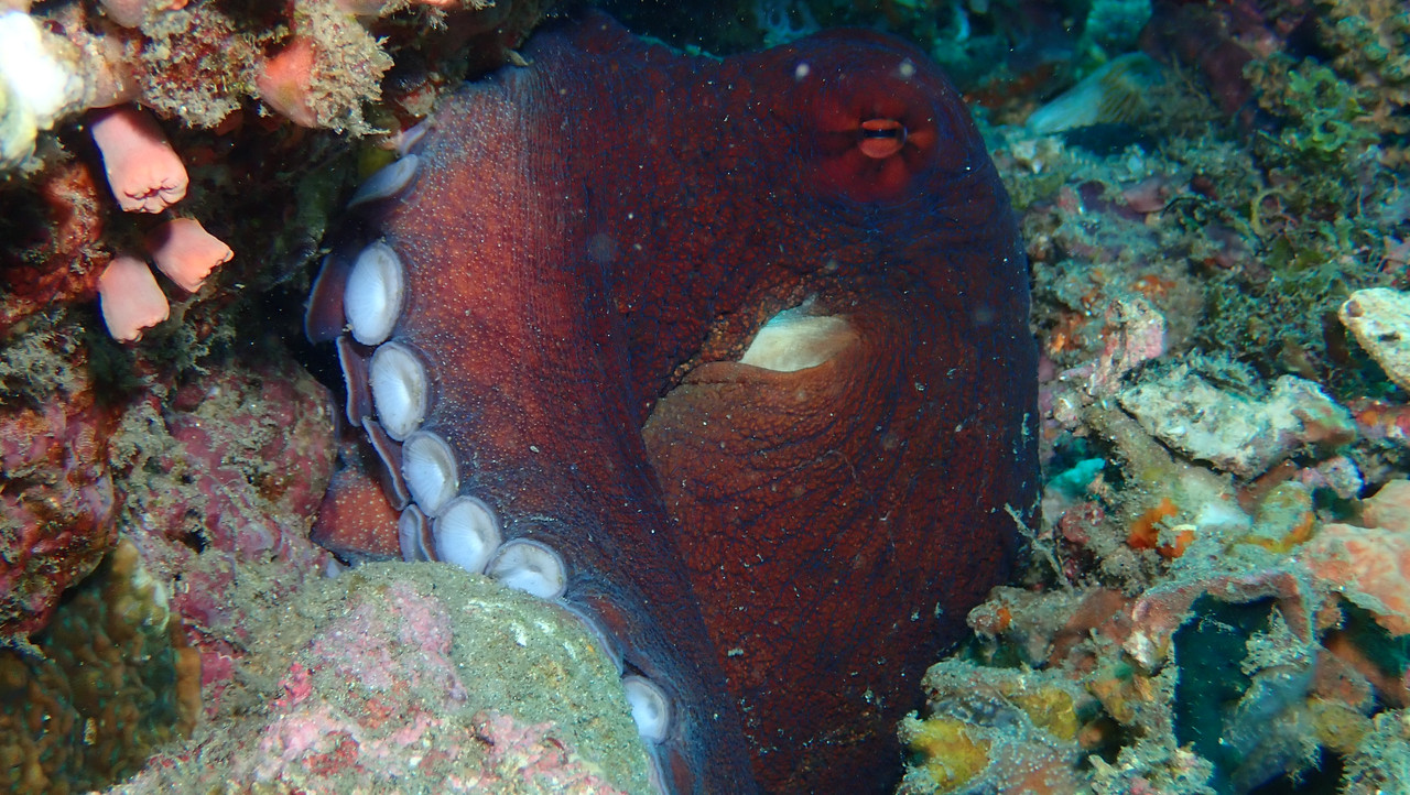 EED2CB01-7F87-4191-A155-1FD51BB20109